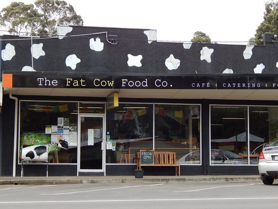 THE FAT COW Food Co.