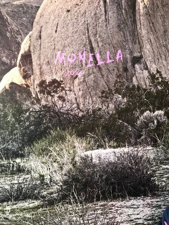 Monella Gelato