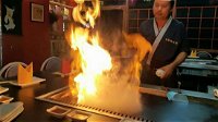 Kyoto Teppan-Yaki Japanese Restaurant - DBD