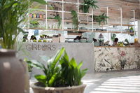 Girdlers - Click Find