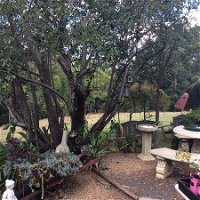 Leonies Little Tree Cafe - Internet Find