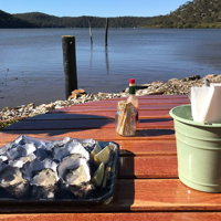 Hawkesbury River Oyster Shed - Renee