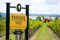 Tranquil Vale Vineyard - Seniors Australia