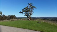 Nepenthe Wines - Seniors Australia
