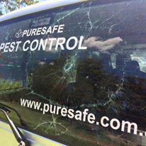 Puresafe Pest Control - thumb 1