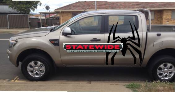 Statewide Pest Solutions - thumb 9