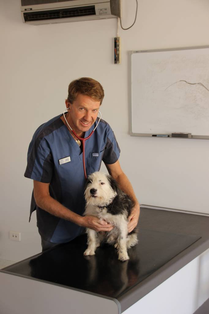 Desert Oaks Veterinary Clinic Pty Ltd - thumb 1