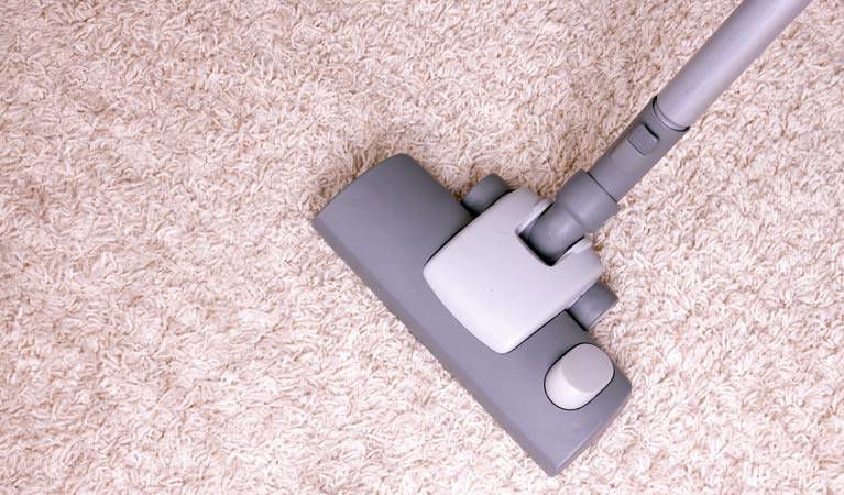 Elite Carpet Cleaning & Pest Control - thumb 1