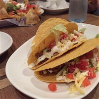 Salsa's Fresh Mex Grill - Robina - Adwords Guide