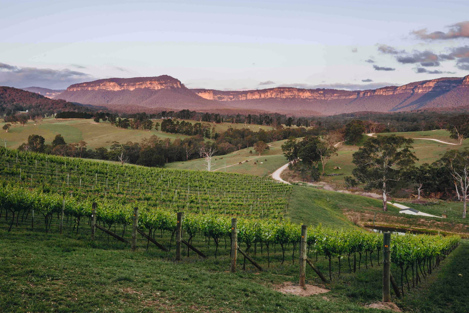 Megalong Valley NSW DBD