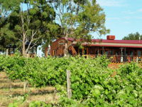 Barangaroo Boutique Wines - Realestate Australia