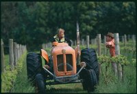 Oranje Tractor Wine - Internet Find