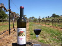 Lockwood Vineyard - Internet Find