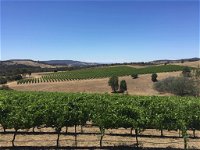 Peerick Vineyard and Winery - Seniors Australia