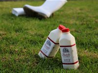 Bodalla Dairy - Cheese Milk and Ice Cream Factory and Cafe