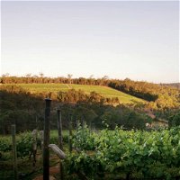 Darlington Estate Winery and Restaurant - Seniors Australia