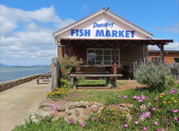 Dunalley Fish Market - Seniors Australia