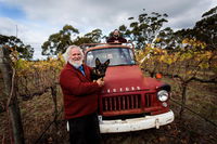 The Shiraz Republic - Petrol Stations