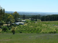 Taralee Orchards - Qld Realsetate