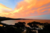 DOLPHIN LOOKOUT COTTAGE - amazing views of the Bay of Fires - Internet Find
