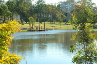 1770 Southern Cross Backpackers - Seniors Australia