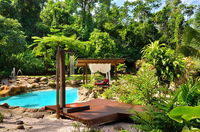 Misty Mountains Rainforest Retreat - Click Find