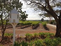'In The Vines' Guest Cottage Barossa Valley - DBD
