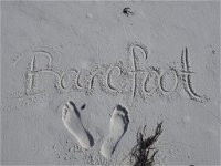 Barefoot Beach House - Internet Find