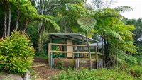 Binna Burra Rainforest Campsite - Internet Find