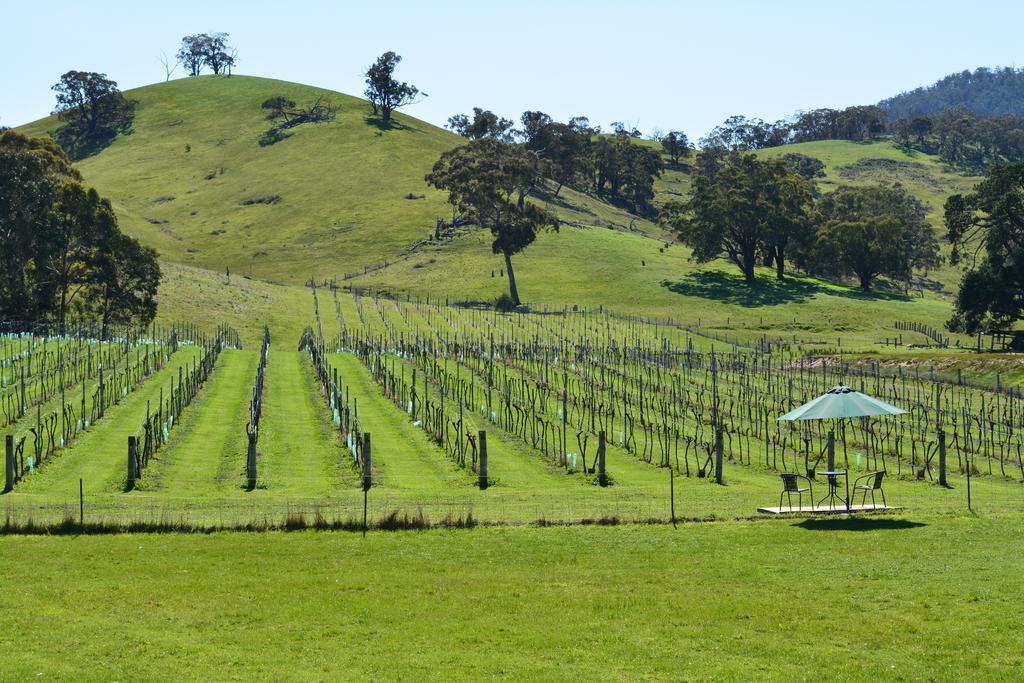 Blue House at Mountainside Wines