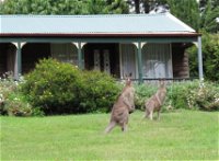 Cedar Lodge Cabins - Seniors Australia