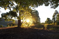 Clarendon Forest Retreat - Seniors Australia