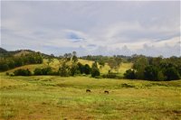 Country Breeze Farm Stay - Seniors Australia