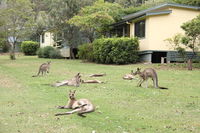 Depot Beach Cabins - Seniors Australia