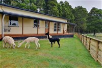 Farm Stay Lowana Strahan - Seniors Australia