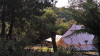 Glamping at Zeehan Bush Camp - Seniors Australia