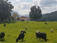 Glenmurray - Country farm stay - Internet Find