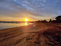 Goat Island Bungalow - Internet Find