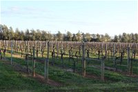 Milawa Vineyard Views - Guesthouse 2 - Click Find
