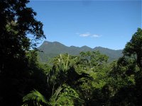 Mossman Gorge Bed and Breakfast - DBD