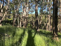 Mylor Farm Adelaide Hills - DBD