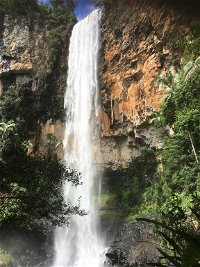 Purling Brook Falls Gwongorella - Seniors Australia