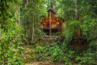 The Canopy Rainforest Treehouses  Wildlife Sanctuary - Internet Find