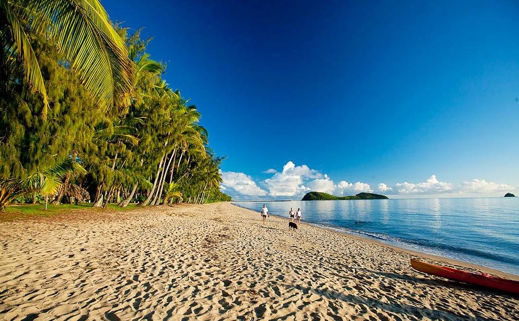 Tobacconists Palm Cove QLD Internet Find