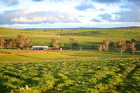 Wantana Cottage Farmstay - Renee