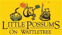 Little Possums On Wattletree - Internet Find