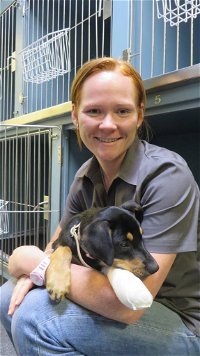 Grafton Veterinary Clinic - Click Find
