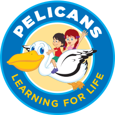 Pelicans Deception Bay - Internet Find