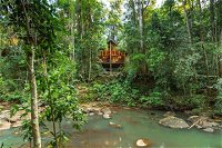 The Canopy Rainforest Treehouses and Wildlife Sanctuary - Internet Find