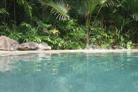 Daintree Rainforest Retreat